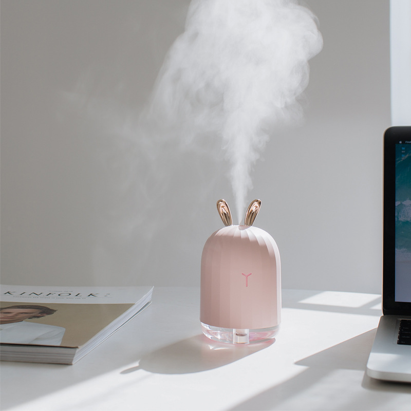 Mini Humidifier