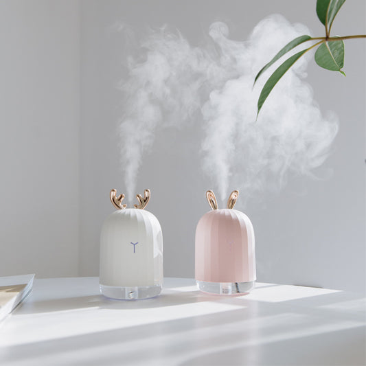 Mini Humidifier